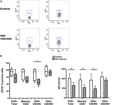 IL-7 and CD4 T Follicular Helper Cells in HIV-1 Infection